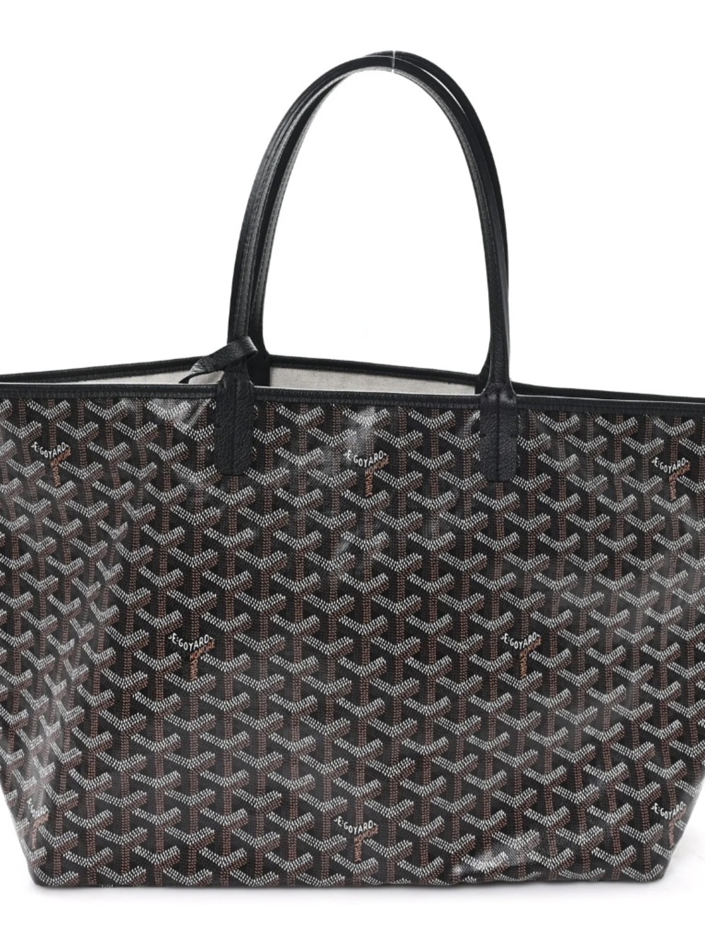 Medium Size Black